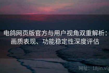 电鸽网页版官方与用户视角双重解析：画质表现、功能稳定性深度评估