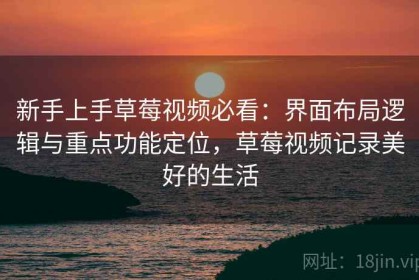 新手上手草莓视频必看：界面布局逻辑与重点功能定位，草莓视频记录美好的生活