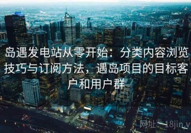 岛遇发电站从零开始：分类内容浏览技巧与订阅方法，遇岛项目的目标客户和用户群