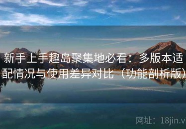 新手上手趣岛聚集地必看：多版本适配情况与使用差异对比（功能剖析版）