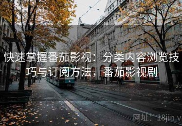 快速掌握番茄影视：分类内容浏览技巧与订阅方法，番茄影视剧