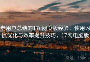 老用户总结的17c网页版经验：使用习惯优化与效率提升技巧，17网电脑版