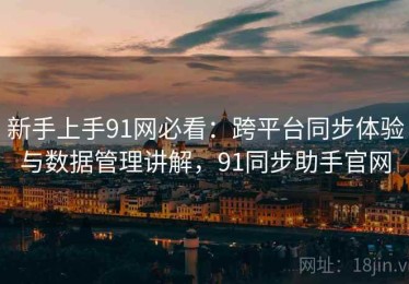 新手上手91网必看：跨平台同步体验与数据管理讲解，91同步助手官网