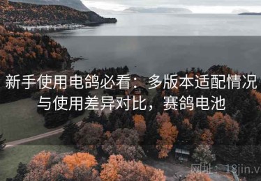 新手使用电鸽必看：多版本适配情况与使用差异对比，赛鸽电池