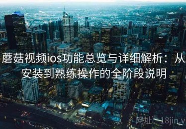 蘑菇视频ios功能总览与详细解析：从安装到熟练操作的全阶段说明