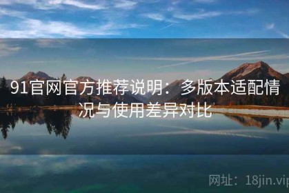91官网官方推荐说明：多版本适配情况与使用差异对比