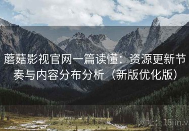 蘑菇影视官网一篇读懂：资源更新节奏与内容分布分析（新版优化版）