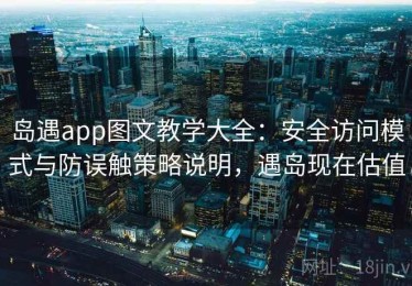 岛遇app图文教学大全：安全访问模式与防误触策略说明，遇岛现在估值