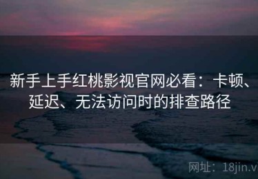新手上手红桃影视官网必看：卡顿、延迟、无法访问时的排查路径