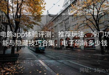 电鸽app体验评测：推荐玩法、冷门功能与隐藏技巧合集，电子鸽哨多少钱