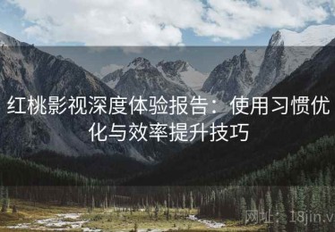 红桃影视深度体验报告：使用习惯优化与效率提升技巧