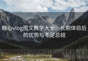 糖心vlog图文教学大全：长期体验后的优势与不足总结