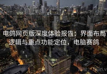 电鸽网页版深度体验报告：界面布局逻辑与重点功能定位，电脑赛鸽