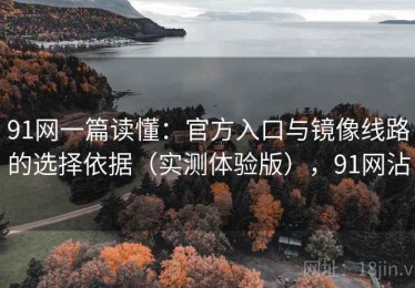 91网一篇读懂：官方入口与镜像线路的选择依据（实测体验版），91网沾