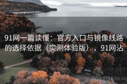 91网一篇读懂：官方入口与镜像线路的选择依据（实测体验版），91网沾