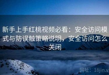 新手上手红桃视频必看：安全访问模式与防误触策略说明，安全访问怎么关闭