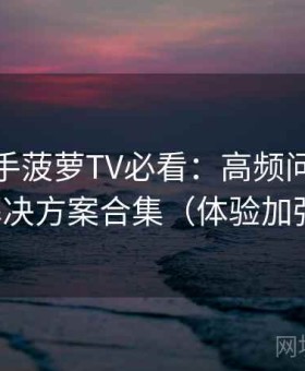 新手上手菠萝TV必看：高频问题速查与解决方案合集（体验加强版）