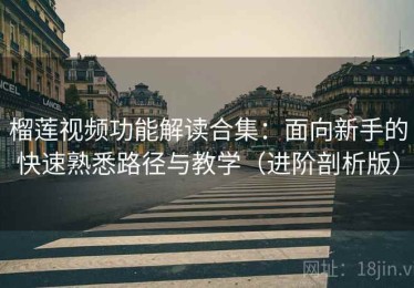 榴莲视频功能解读合集：面向新手的快速熟悉路径与教学（进阶剖析版）