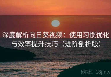 深度解析向日葵视频：使用习惯优化与效率提升技巧（进阶剖析版）