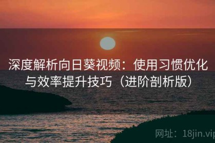 深度解析向日葵视频：使用习惯优化与效率提升技巧（进阶剖析版）