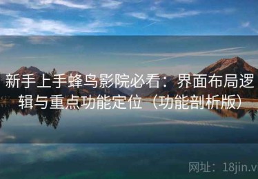 新手上手蜂鸟影院必看：界面布局逻辑与重点功能定位（功能剖析版）