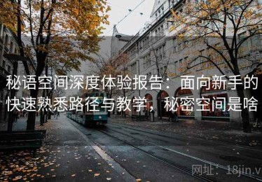 秘语空间深度体验报告：面向新手的快速熟悉路径与教学，秘密空间是啥
