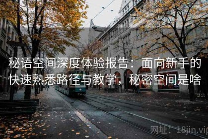 秘语空间深度体验报告：面向新手的快速熟悉路径与教学，秘密空间是啥