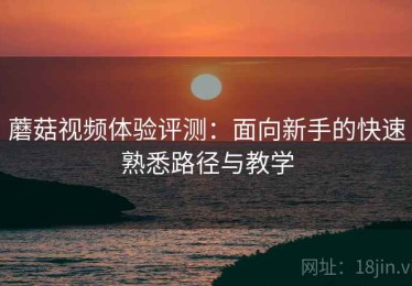 蘑菇视频体验评测：面向新手的快速熟悉路径与教学