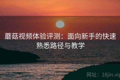 蘑菇视频体验评测：面向新手的快速熟悉路径与教学