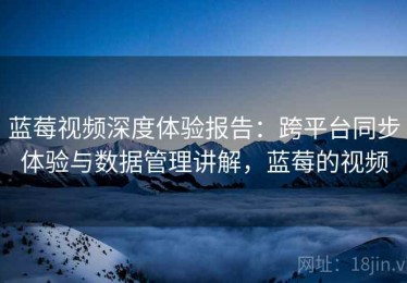 蓝莓视频深度体验报告：跨平台同步体验与数据管理讲解，蓝莓的视频