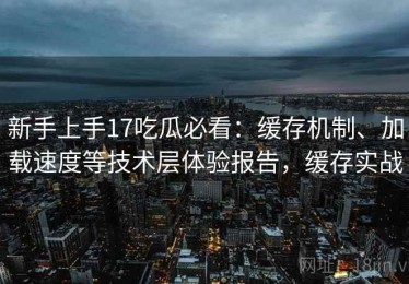 新手上手17吃瓜必看：缓存机制、加载速度等技术层体验报告，缓存实战