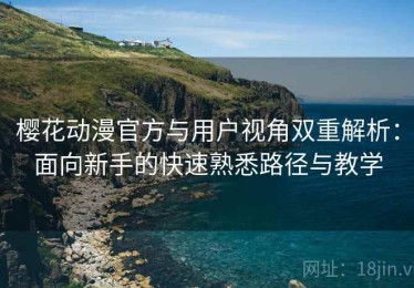 樱花动漫官方与用户视角双重解析：面向新手的快速熟悉路径与教学