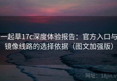 一起草17c深度体验报告：官方入口与镜像线路的选择依据（图文加强版）