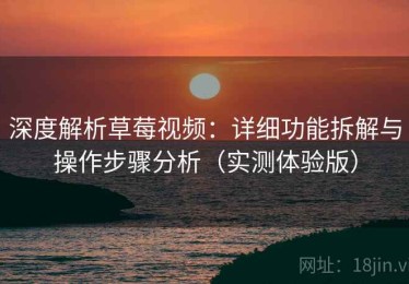 深度解析草莓视频：详细功能拆解与操作步骤分析（实测体验版）