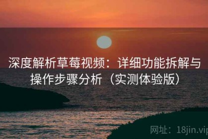 深度解析草莓视频：详细功能拆解与操作步骤分析（实测体验版）