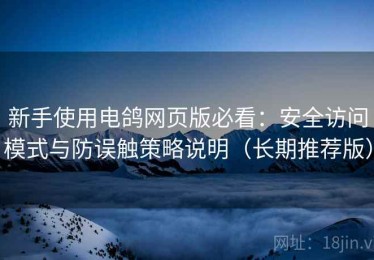 新手使用电鸽网页版必看：安全访问模式与防误触策略说明（长期推荐版）