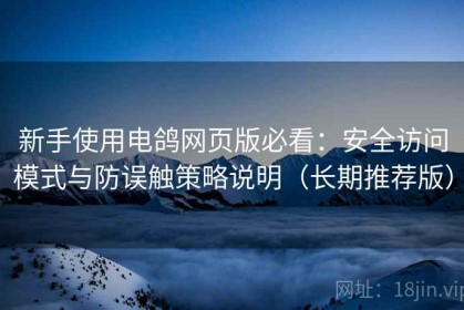 新手使用电鸽网页版必看：安全访问模式与防误触策略说明（长期推荐版）