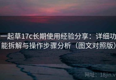 一起草17c长期使用经验分享：详细功能拆解与操作步骤分析（图文对照版）