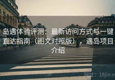 岛遇体验评测：最新访问方式与一键直达指南（图文对照版），遇岛项目介绍