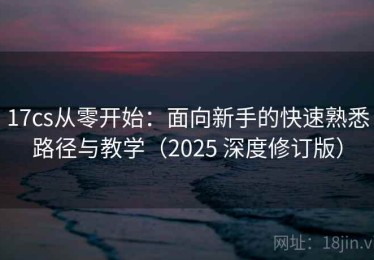 17cs从零开始：面向新手的快速熟悉路径与教学（2025 深度修订版）