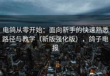 电鸽从零开始：面向新手的快速熟悉路径与教学（新版强化版），鸽子电报