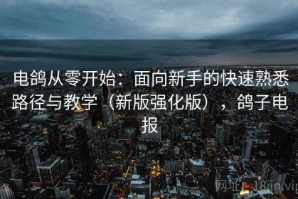 电鸽从零开始：面向新手的快速熟悉路径与教学（新版强化版），鸽子电报