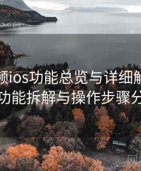 蘑菇视频ios功能总览与详细解析：详细功能拆解与操作步骤分析