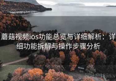 蘑菇视频ios功能总览与详细解析：详细功能拆解与操作步骤分析