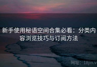 新手使用秘语空间合集必看：分类内容浏览技巧与订阅方法