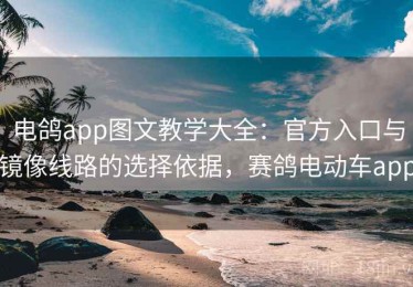 电鸽app图文教学大全：官方入口与镜像线路的选择依据，赛鸽电动车app