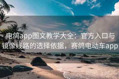 电鸽app图文教学大全：官方入口与镜像线路的选择依据，赛鸽电动车app