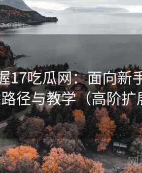 快速掌握17吃瓜网：面向新手的快速熟悉路径与教学（高阶扩展版）