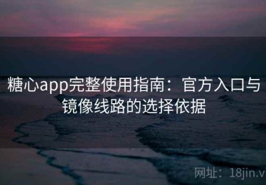 糖心app完整使用指南：官方入口与镜像线路的选择依据