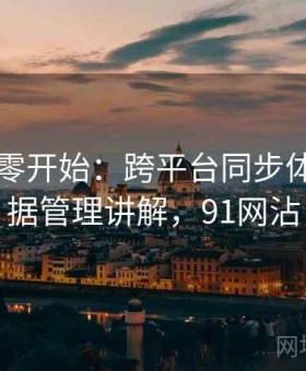 91网从零开始：跨平台同步体验与数据管理讲解，91网沾